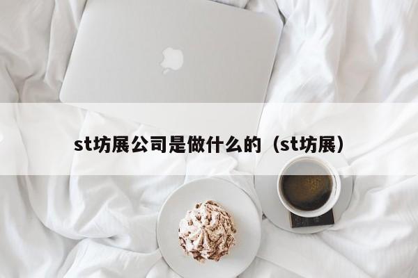 st坊展公司是做什么的（st坊展）  第1张