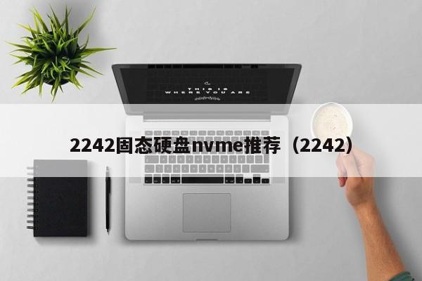 2242固态硬盘nvme推荐（2242）  第1张