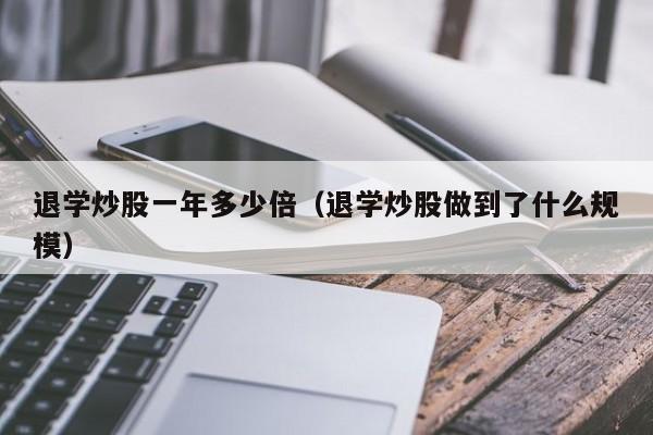 退学炒股一年多少倍（退学炒股做到了什么规模）  第1张