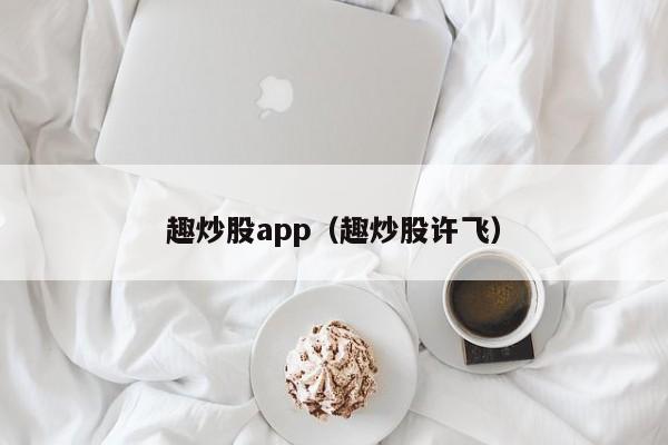 趣炒股app（趣炒股许飞）  第1张