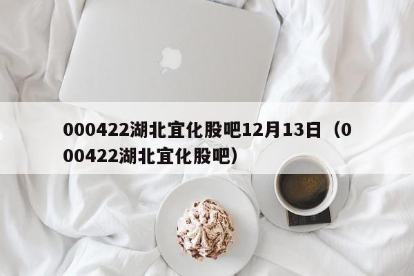 000422湖北宜化股吧12月13日（000422湖北宜化股吧）  第1张