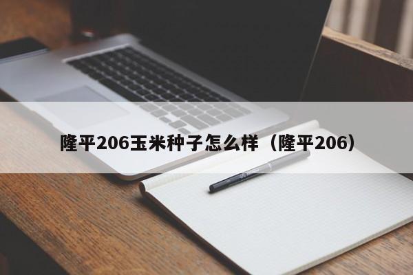 隆平206玉米种子怎么样（隆平206）  第1张