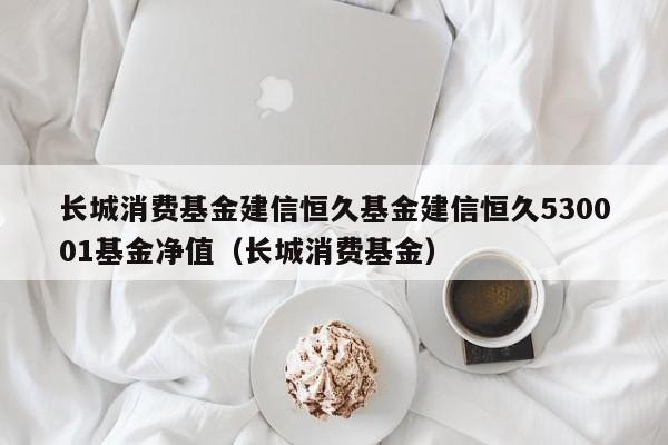 长城消费基金建信恒久基金建信恒久530001基金净值（长城消费基金）  第1张