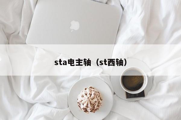 sta电主轴（st西轴）  第1张