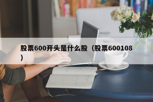 股票600开头是什么股（股票600108）  第1张