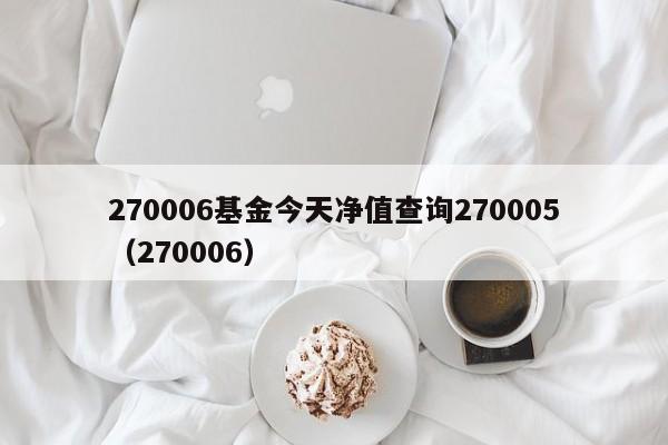 270006基金今天净值查询270005（270006）  第1张