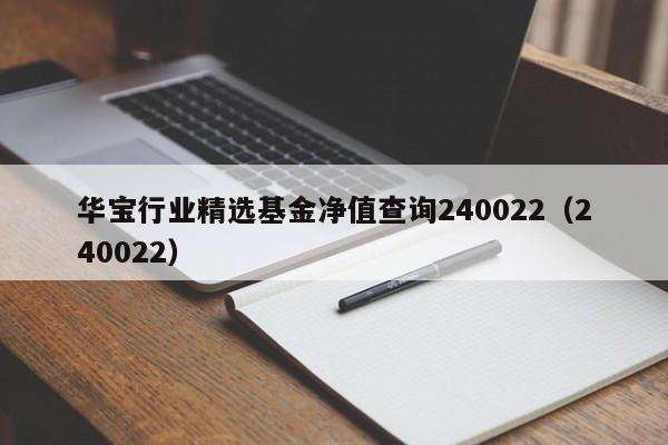 华宝行业精选基金净值查询240022（240022）  第1张