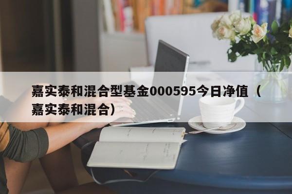 嘉实泰和混合型基金000595今日净值（嘉实泰和混合）  第1张