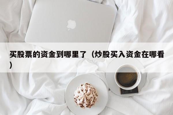 买股票的资金到哪里了（炒股买入资金在哪看）  第1张